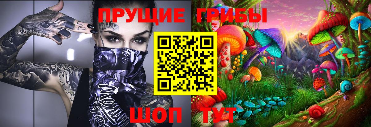 Псилоцибиновые грибы Cubensis  Галлюциногенные грибы MAGIC MUSHROOMS  Вход с VPN  Трёхгорный 